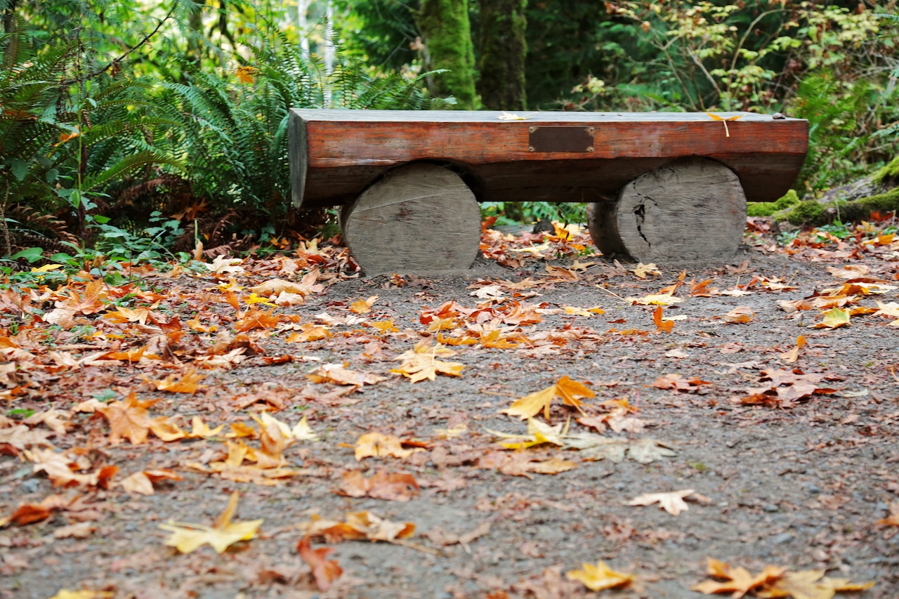 Portland sees a damp Monday before most of week turns dry, sunny; high 61