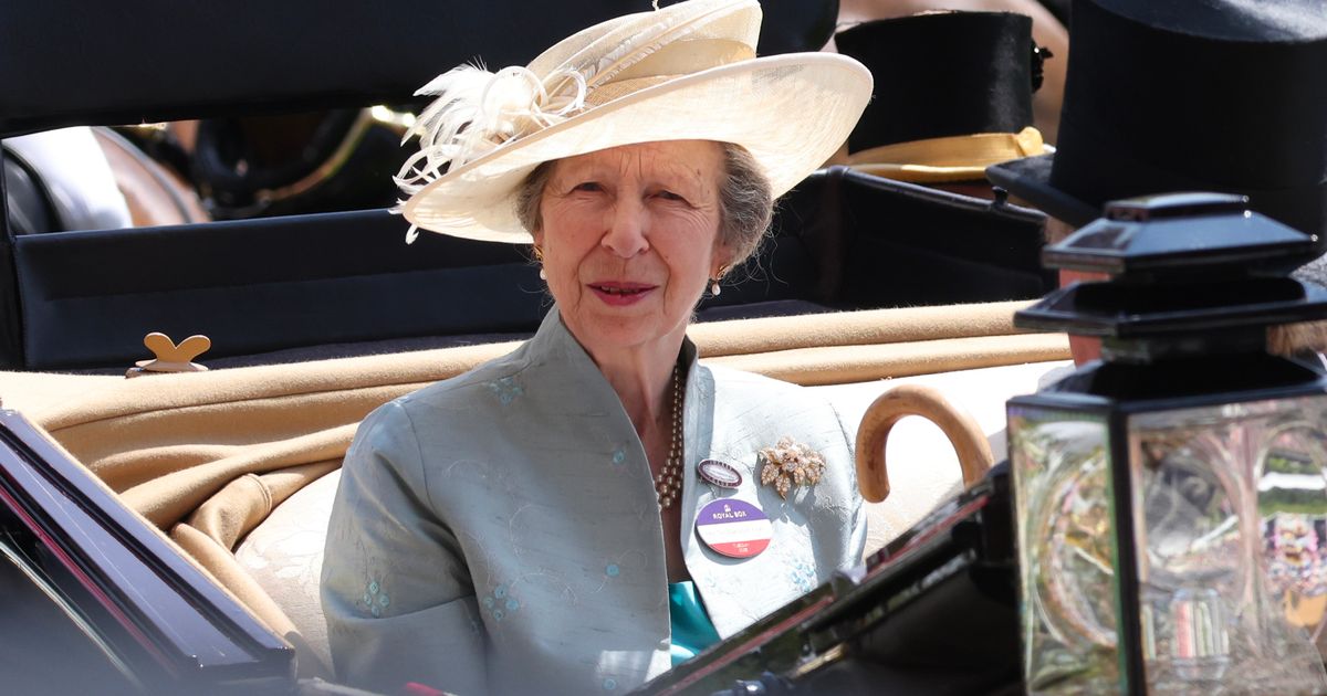 Buckingham Palace makes major Princess Anne announcement as huge trip beckons - The Mirror