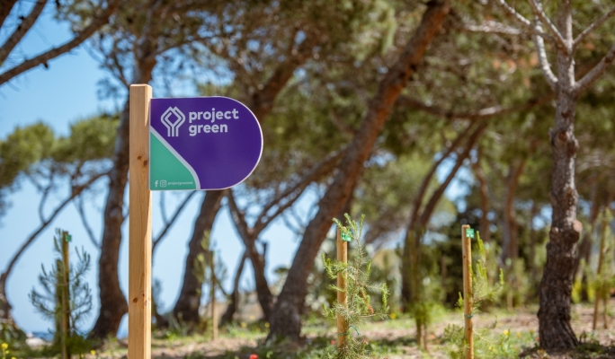 Project Green announces tender for garden, car park on former AUM site in Bormla