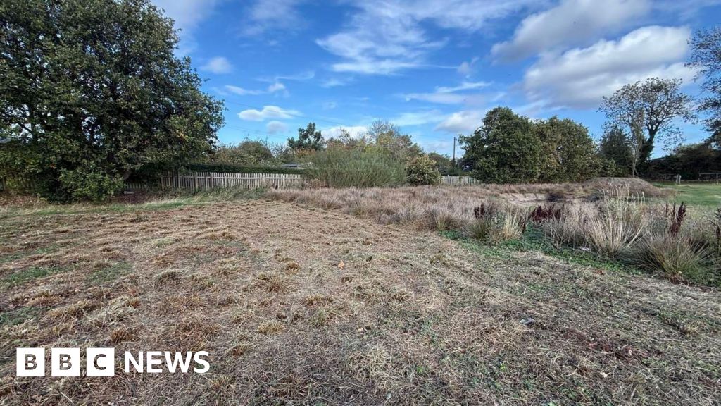 Prudhoe park group 'devastated' as tractor flattens wetland