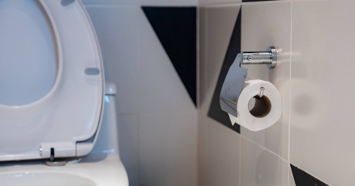 'If you see this in a public toilet get out immediately - it will save your dignity' - The Mirror