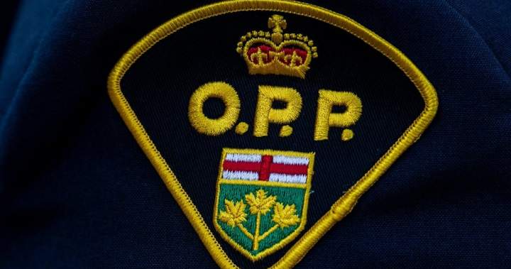 69-year-old Quinte West Man Dead After Crash: Ontario Provincial Police - Beritaja