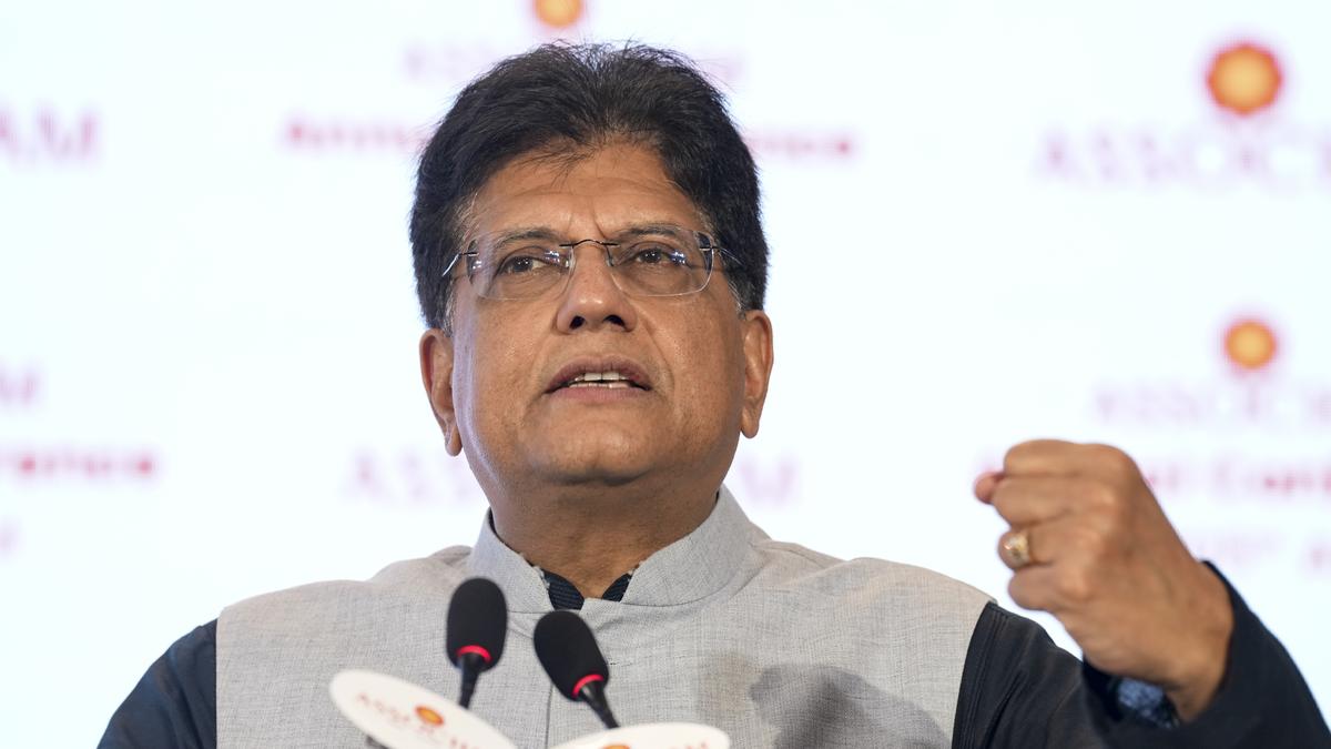 Govt working on steps to improve supply of rare earth minerals: Piyush Goyal