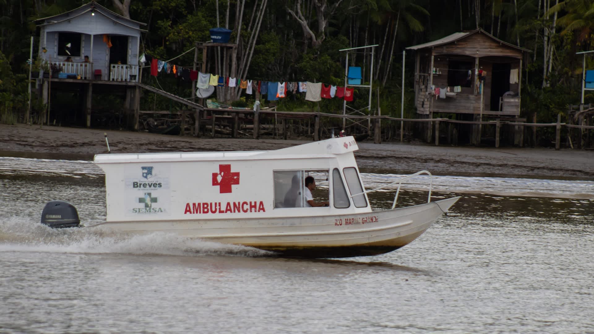 Officials rescue injured big cat on verge of drowning after escaping suspected poachers: 'A life barely hanging on'