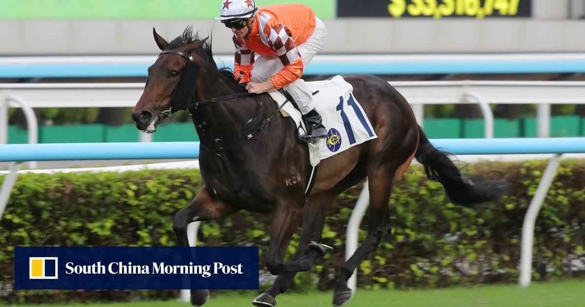 Richards confident Purton and General can overcome wide draw in hat-trick bid