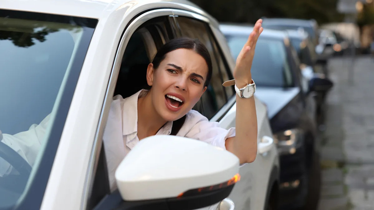 Rick Steves Warns These Are The Countries In Europe With The Most Aggressive Drivers