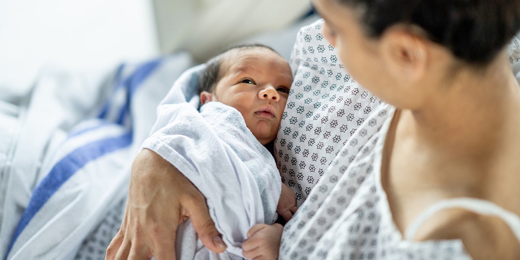 Robots power breakthrough in pregnancy research, boosting IVF success rates