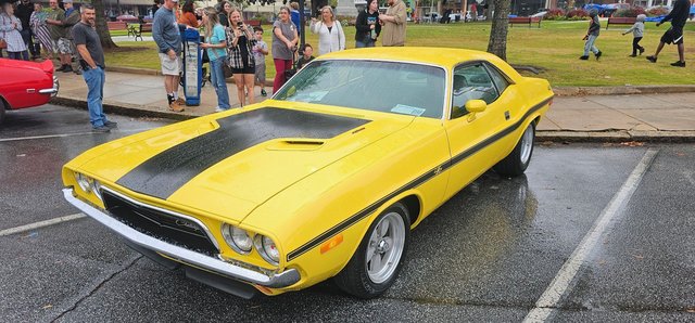 Rotary Club of Covington sees large turnout at annual car show