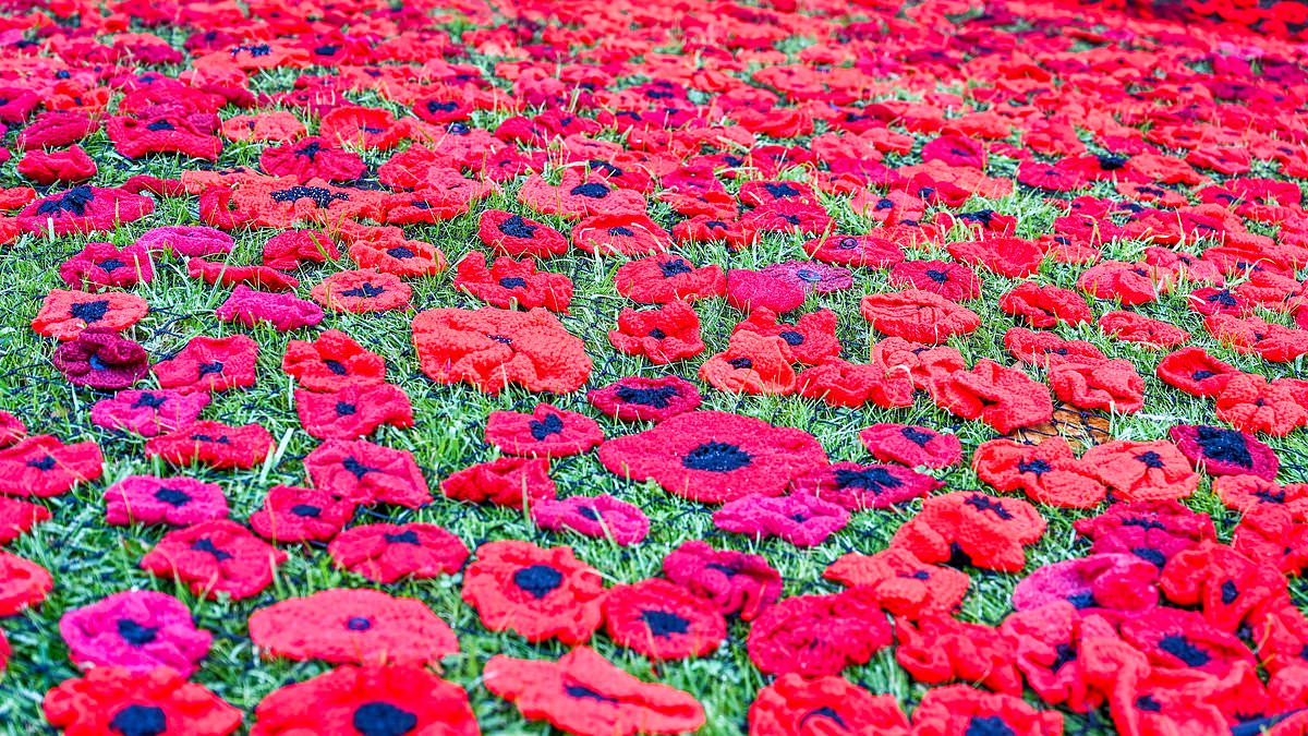 Royal British Legion launches annual poppy appeal in bid to raise £50m