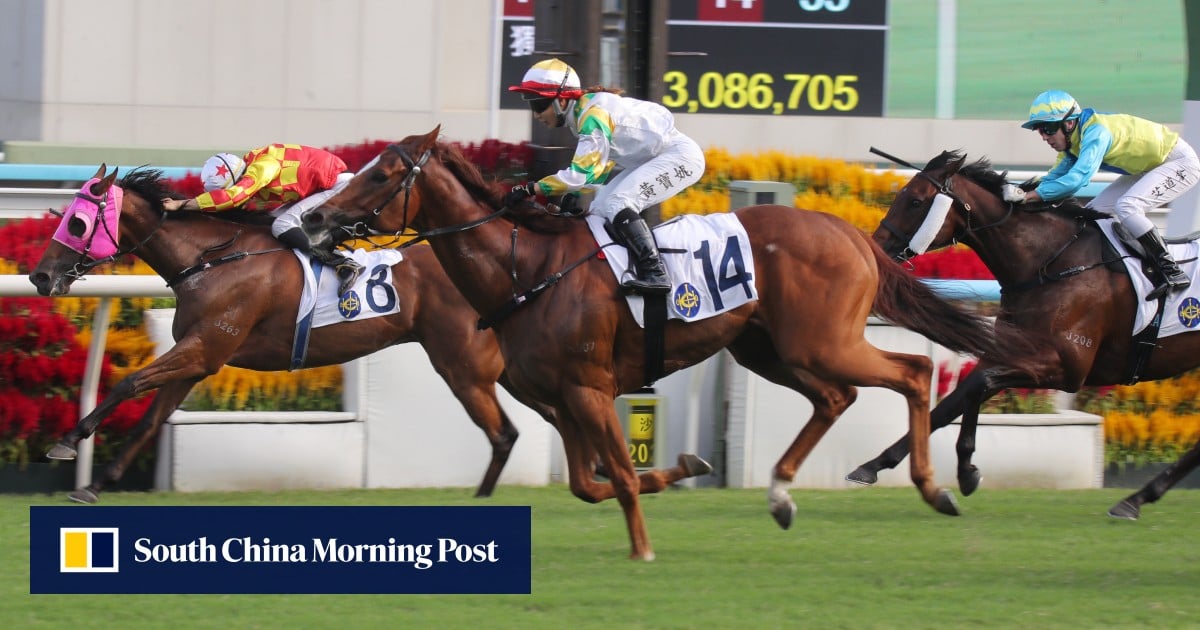 Brazilian G1 winner Sagacious Life upstages hot field in sensational HK debut