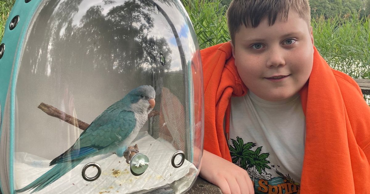 Schoolboy, 13, left unable to breathe after pet parrot sparked rare condition - The Mirror