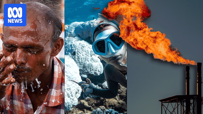 Scientists calculate the cost on climate and human lives of gas project emissions