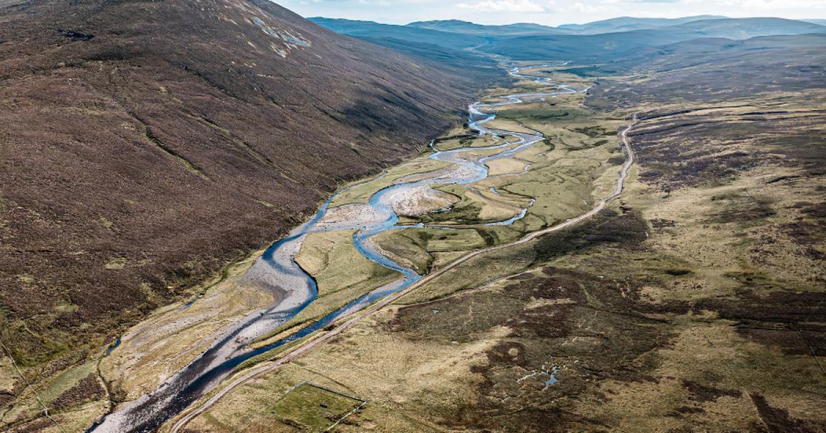 New owner's 'bold vision' for brewing giant's former Scottish forest