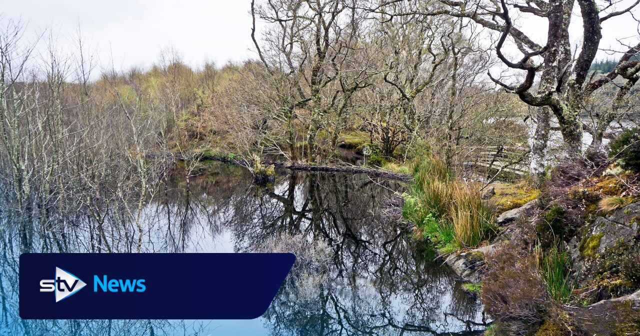 Four areas in Scotland named as first of 30 designated nature sites