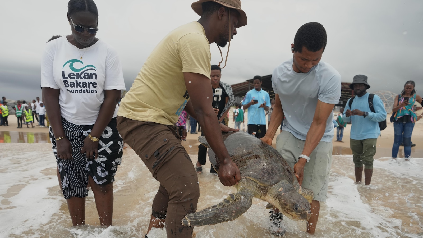 Conservation group rescues sea turtles caught in nets at Nigerian coastal city and rewards fishermen
