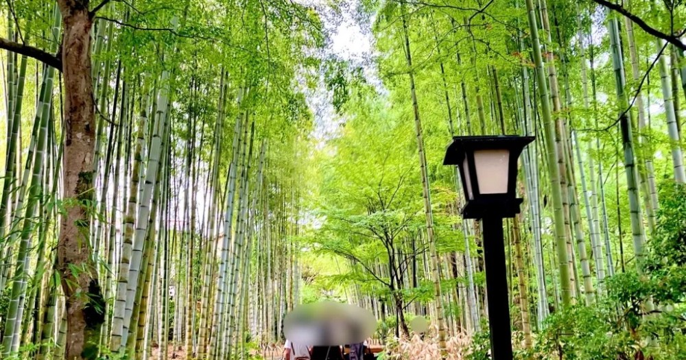 Kyoto travel alternative: The "little Kyoto" of Shuzenji【Photos】