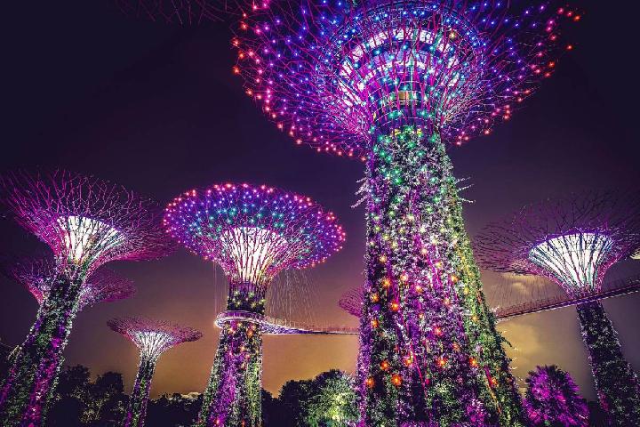 4 Exciting Ways to Experience Singapore's Nightlife