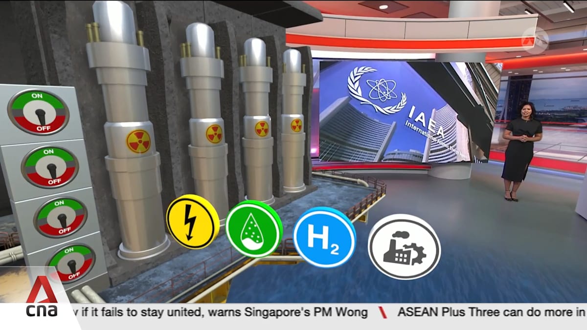 Singapore releases paper on nuclear energy, to deepen cooperation with two US institutes