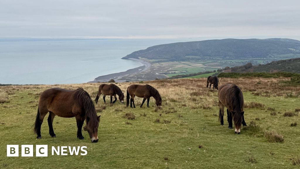 Somerset in Pictures: Idyllic views and a birthday