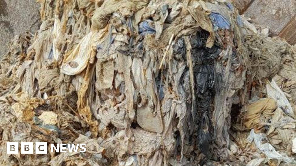 South West Water customers urged to help prevent fatbergs