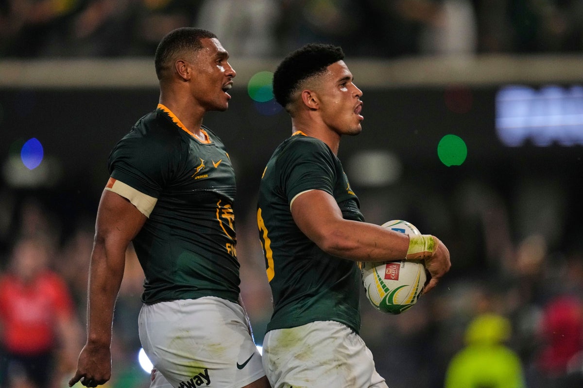 What do Springboks need to win the Rugby Championship? Title permutations explained