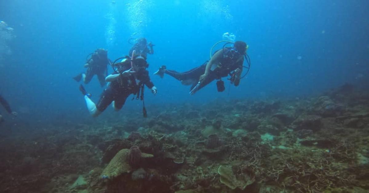 Students spot wild orangutans and camp in hammocks on unforgettable Borneo trip