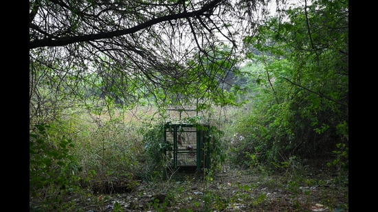 Sugar Commissioner directs mills to implement safety measures amid leopard threat