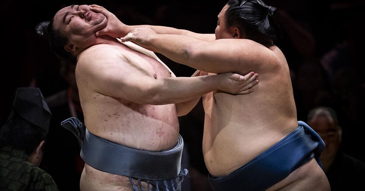 Sumo Royal Albert Hall review - Japanese titans battle at epic showdown