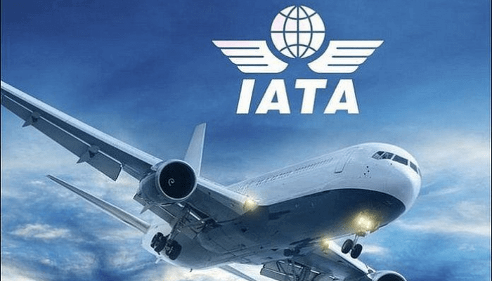 Supply chain challenges could cost airlines over $11bn in 2025 - IATA - Businessday NG