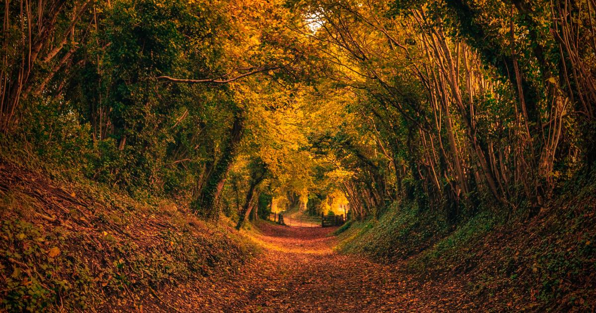 'Fairytale-like' spot in Sussex among UK's best places to visit in autumn