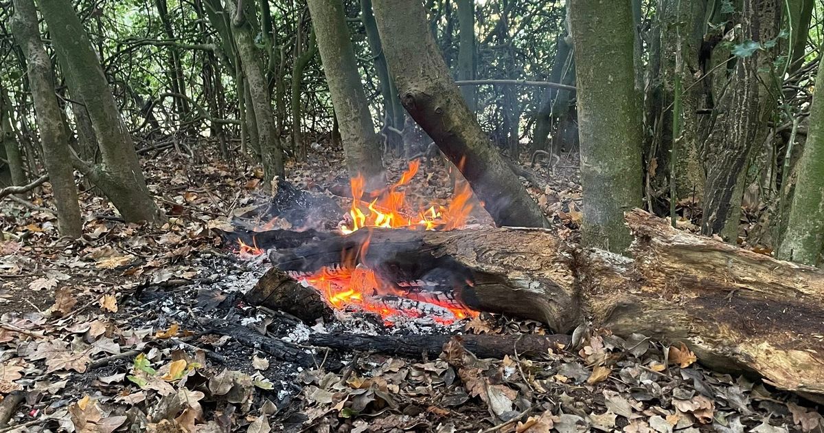 Reckless fire starters at Birmingham beauty spot risk widespread damage in repeat blazes - Birmingham Live