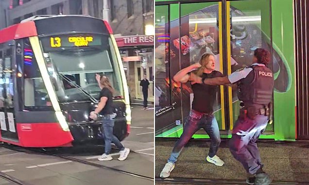 Wild moment 'pubgoer' stops a train before taking a swing at cop