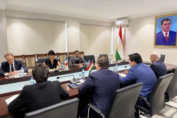 Tajikistan and France explore co-op in civil aviation and airbus ventures