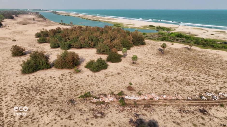 Nature's shield: Saving India's Tamil Nadu sand dunes