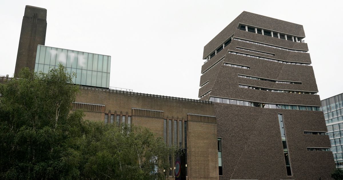 Family of boy thrown from Tate Modern art gallery issue poignant update - The Mirror