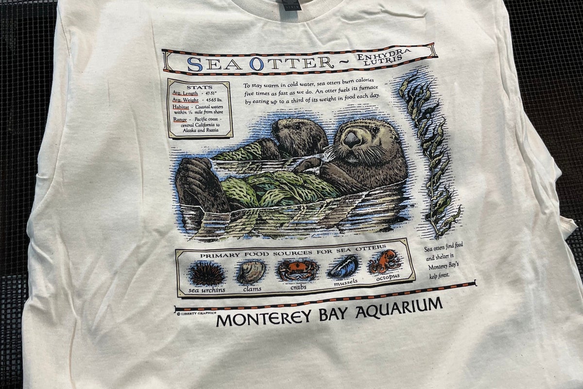 Taylor Swift's film Easter egg sparks a $2M windfall for sea otters