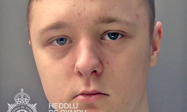 Teenager, 19 who blackmailed and sexually abused 37 girls is jailed