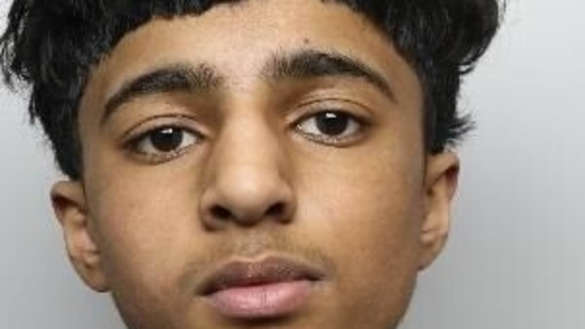 Teenager, 15, who stabbed Harvey Willgoose jailed for 16 years