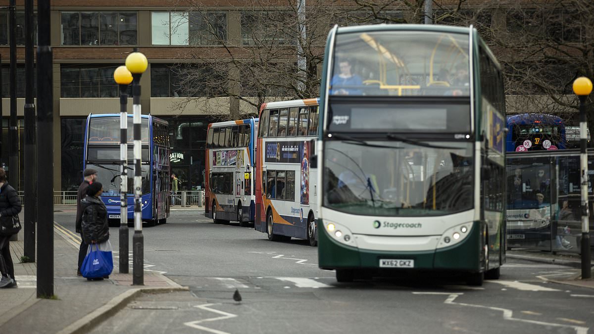 Let teenagers drive buses, ministers urged