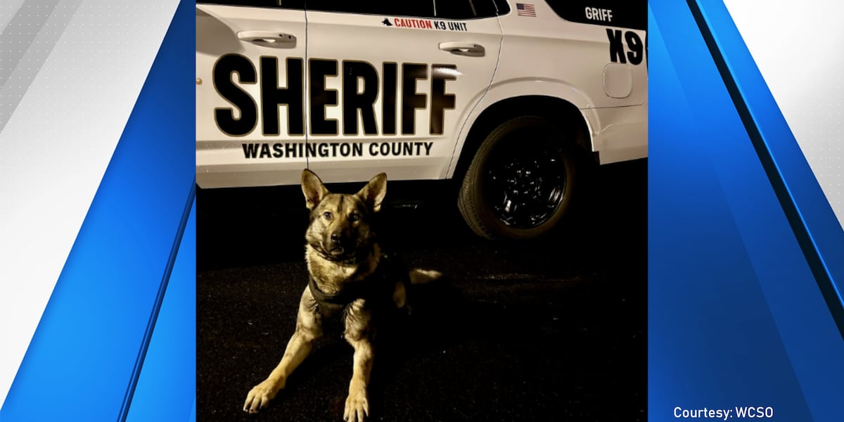 Teens flee police in stolen car in Hillsboro; found hiding in Beaverton neighborhood