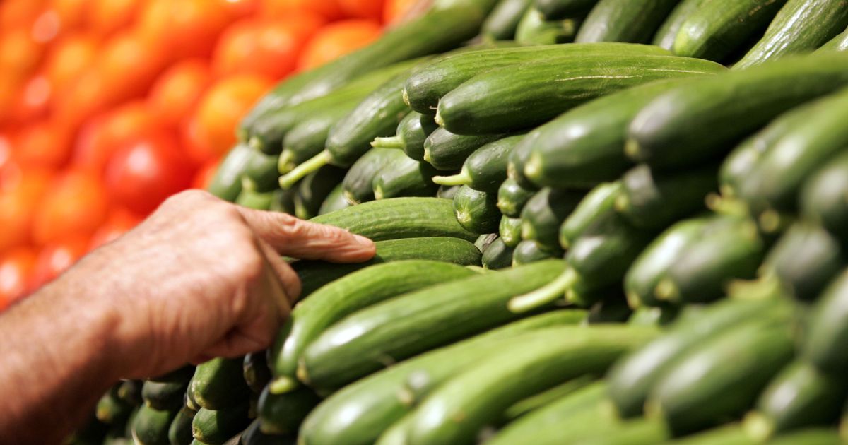 Cucumbers in Tesco, Sainsbury's, Asda, Lidl and Aldi could be in for major change - Daily Record