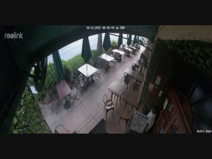 Video shows Tesla crashing outside Miami Beach restaurant before 2 detained