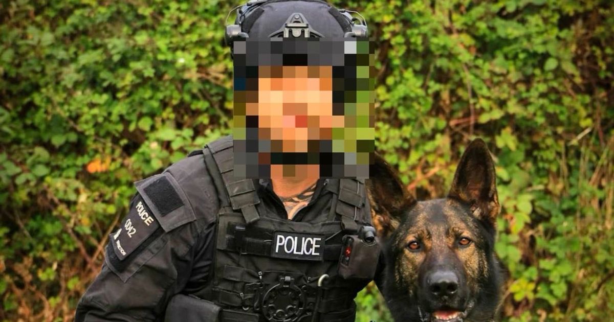 Thieves ditch crashed car before three-mile chase across Devon countryside | Devon Live