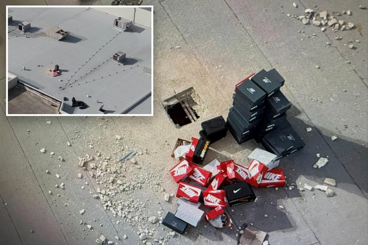 Sneaky! Thieves cut hole in mall roof to swipe $50K in sneakers:...