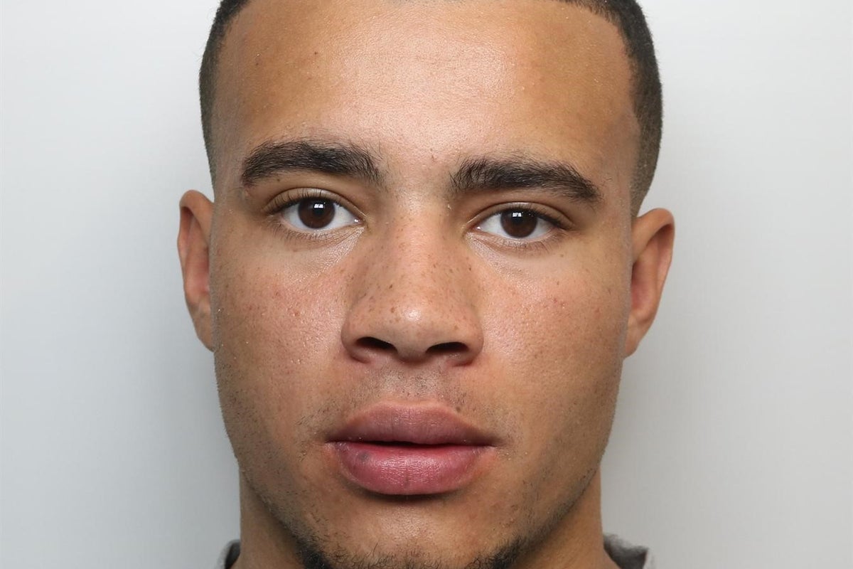 TikTok influencer HSTikkyTokky arrested after manhunt for dangerous driving