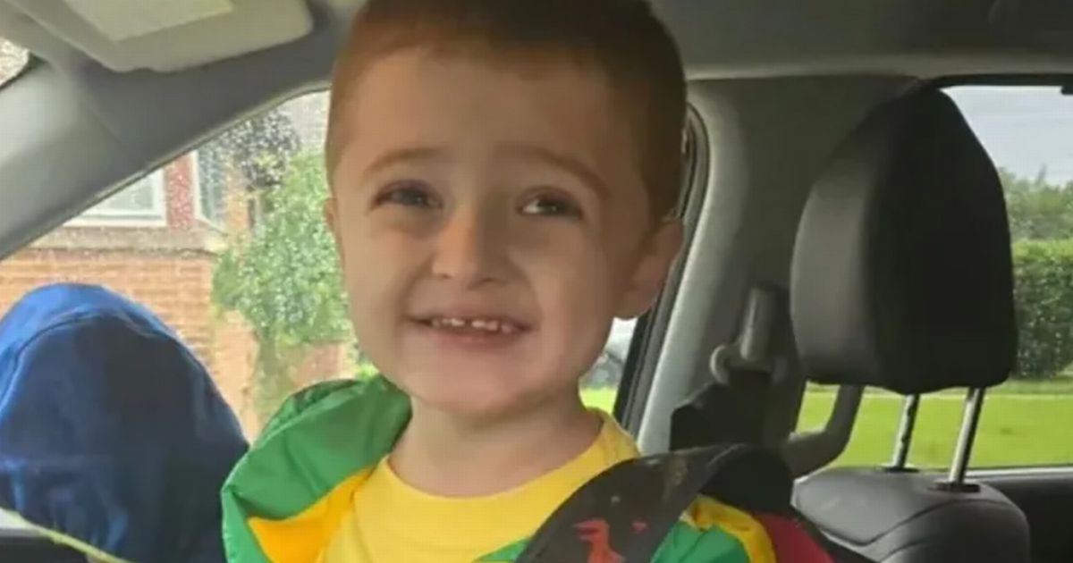 Toddler hacked to death in front of mum as she unloaded supermarket shopping - The Mirror