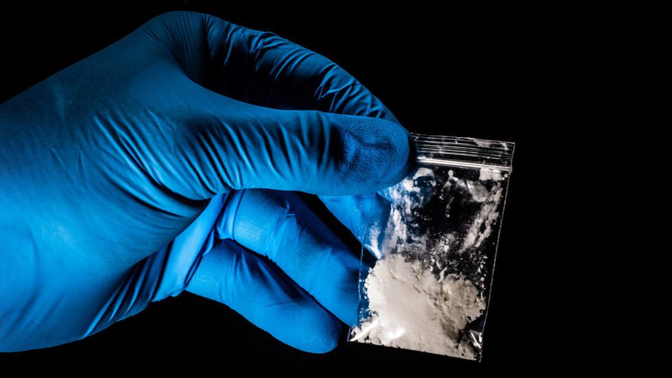 Trump border czar calls for 'weapon of mass destruction' debate on fentanyl crisis  --  RT World News