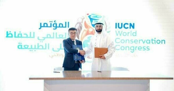 UAE, Mongolia sign MoU to protect Asian Houbara, Great Bustards during IUCN World Conservation Congress in Abu Dhabi