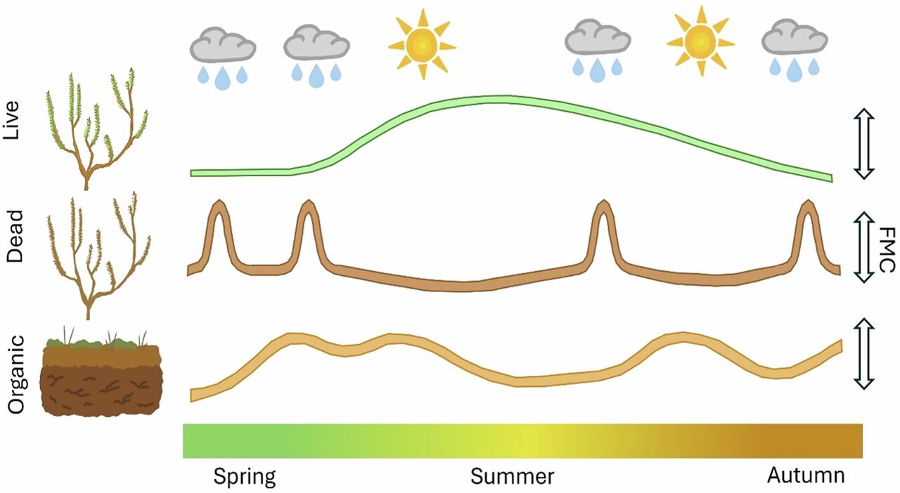 UK heat waves overwhelm natural ecological safeguards to increase wildfire risk
