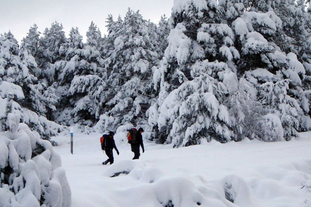 Snow expected in UK over weekend with 'coldest days of season so far'